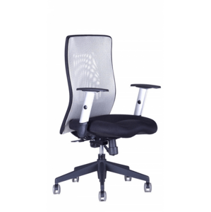Office Pro kancelářská židle Calypso XL BP + 3 roky prodloužená ZÁRUKA