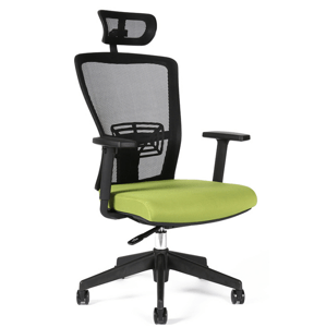 OFFICE PRO kancelářská židle Themis SP + hlavová opěrka + područky + 3 roky prodloužená záruka