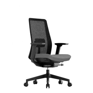 Kancelářská ergonomická židle OFFICE PRO K10 — více barev Šedá