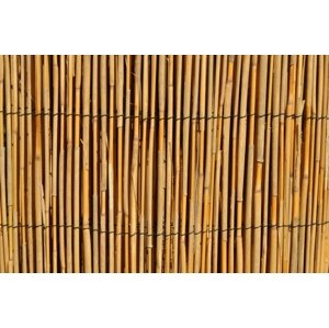 Rákosová rohož — 100 x 500 cm, přírodní
